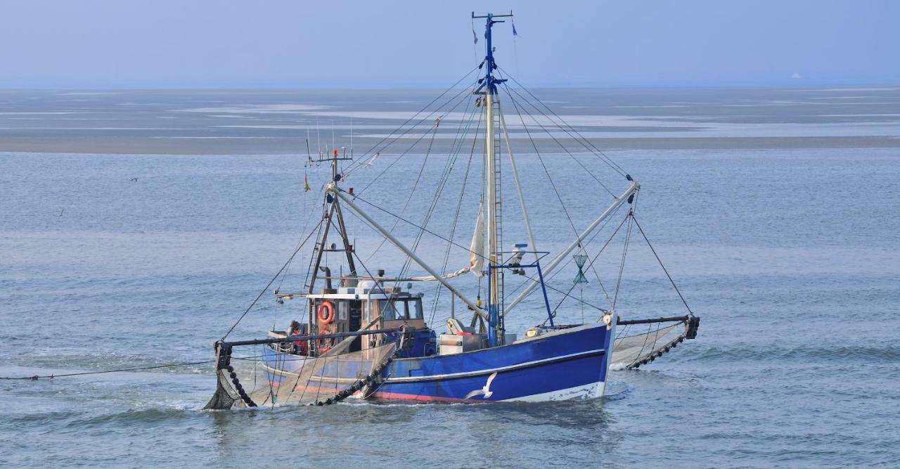 Ferienwohnung Familie Boeckmann Auf Norderney Ngoại thất bức ảnh